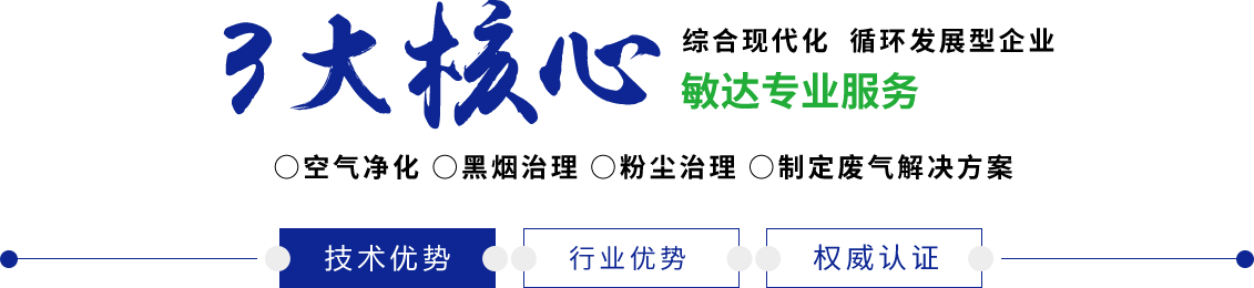 在线视频抽插吸舔敏达环保科技（嘉兴）有限公司